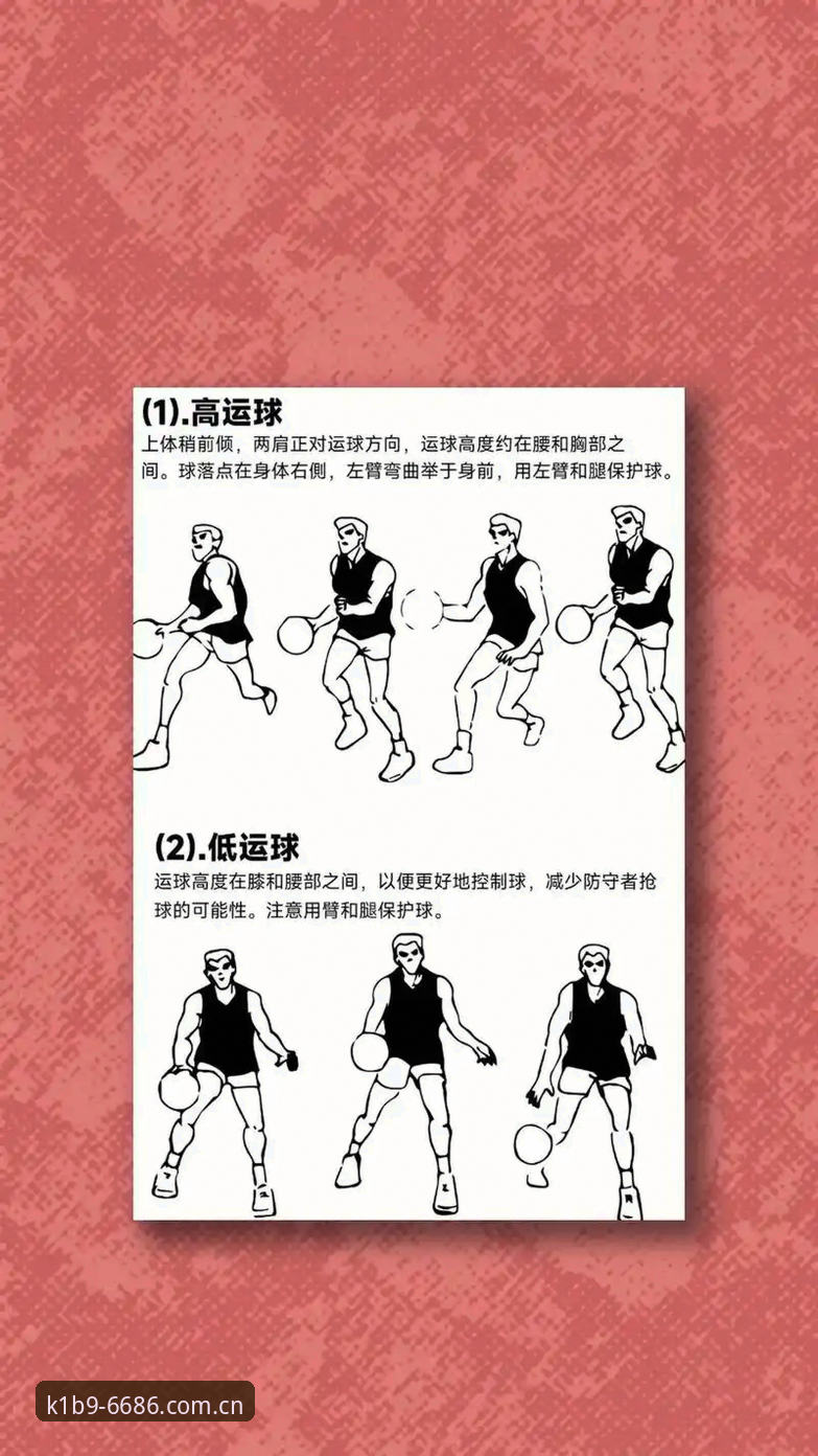 6686体育平台新手实战技巧全面评测：从入门到精通的竞技指南