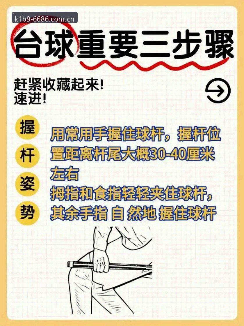 6686体育平台新手实战技巧全面评测：从入门到精通的竞技指南